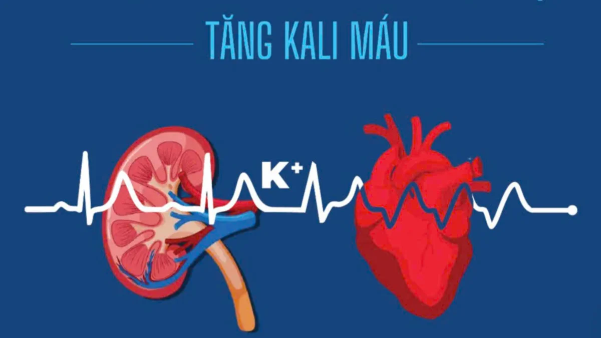 TĂNG KALI MÁU: Chẩn đoán & Xử trí